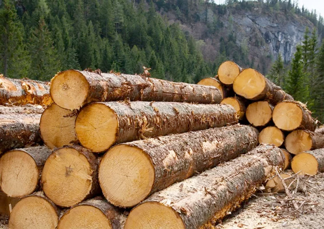 Wood Pellets and Firewood